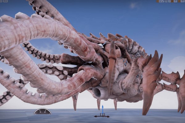 Kraken 18