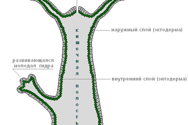 Kraken21 at сайт